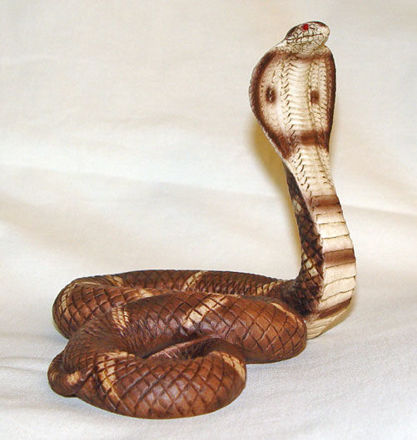 Image de Cobra snake
