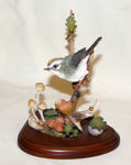 Picture of Firecrest with Wild Mushrooms