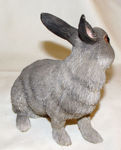 Picture of Grey Rabbit - Lying
