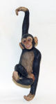 Image de Hanging monkeys