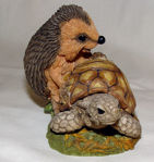 Picture of Hedgehog with Turtle