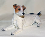 Immagine di Jack Russell Lying