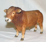 Immagine di Limousin Bull