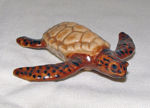 Image de Sea Turtle