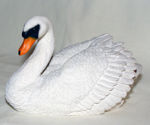 Image de Swan