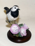 Immagine di Wagtail with Geraniums