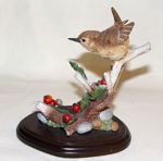 Picture of Wren with Howthorn Berries