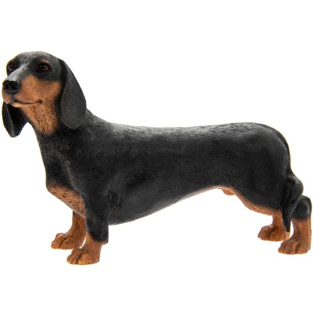 Picture of DACHSHUNDS 