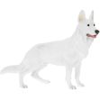 Picture of GERMAN SHEPHERD 
