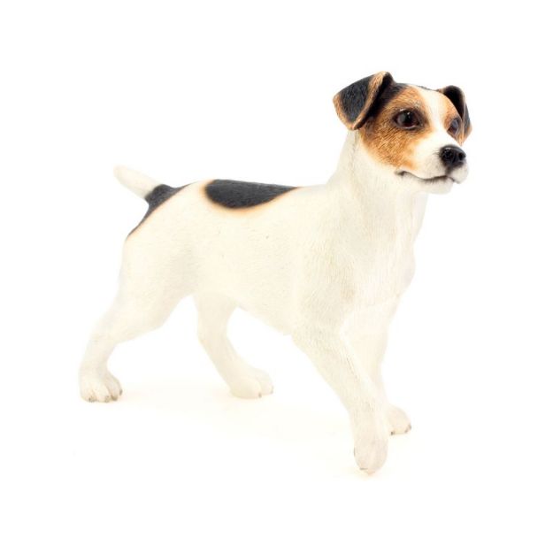 Immagine di JACK RUSSELL TERRIER