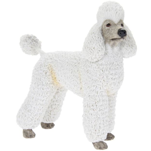 Picture of POODLE WHITE