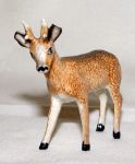 Picture of Deer
