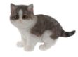 Picture of FIGURE RESIN CAT 