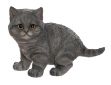 Picture of FIGURE RESIN CAT 